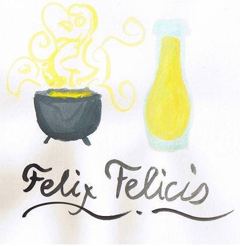 Felix Felicis